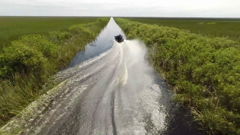 an exciting adventure in the middle of a wetland