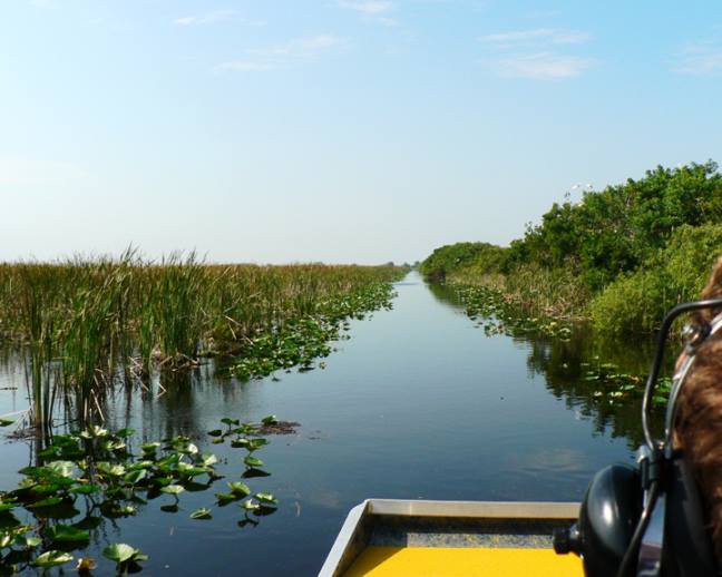 1607035_398982106905119_537306670_n